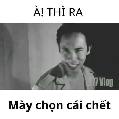 ảnh meme 1977 vlog à! thì ra mày chọn cái chết
