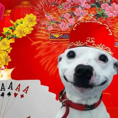 ảnh Avatar chó chơi bài ngày tết 2024