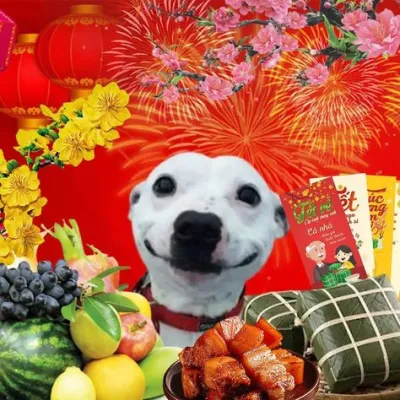 ảnh Avatar chó chúc tết 2024