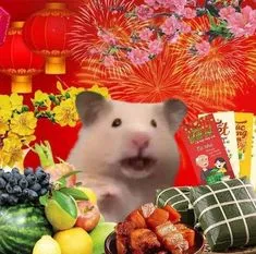 ảnh Avatar chuột hamster chúc tết 2024