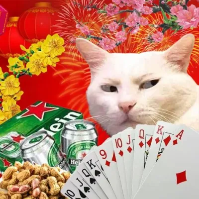 ảnh Avatar mèo đánh bài ngày tết 2024