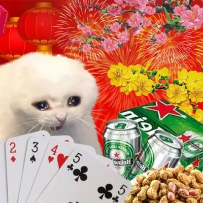 ảnh Avatar mèo đánh bài ngày tết 2024