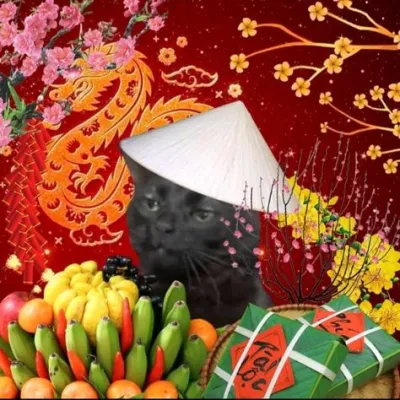 ảnh Avatar mèo đen chúc tết 2024