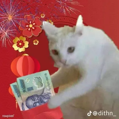 ảnh Avatar mèo nhận tiền lì xì tết 2024