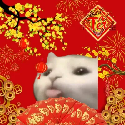 ảnh Avatar mèo tết 2024