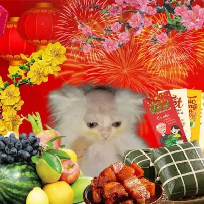 ảnh Avatar mèo tết 2024