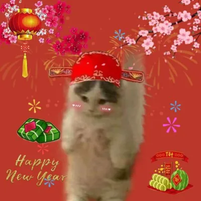 ảnh Avatar mèo tết 2024