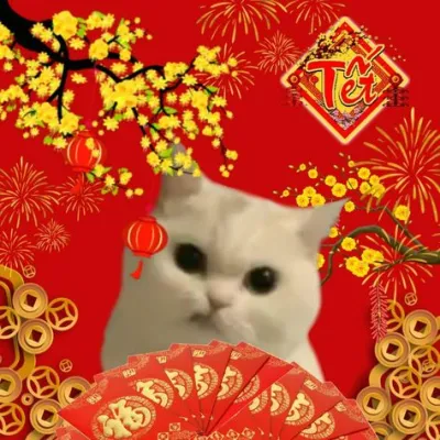 ảnh Avatar mèo tết 2024