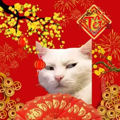 ảnh Avatar mèo tết 2024