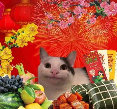 ảnh Avatar mèo tết 2024
