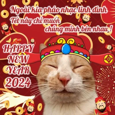 ảnh Avatar mèo tết 2024