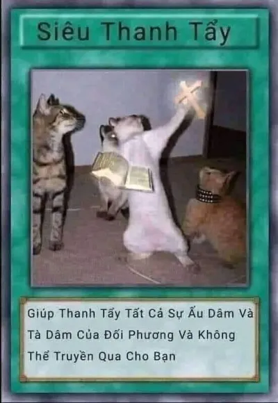 ảnh meme bài Yugioh siêu thanh tẩy "giúp thanh tẩy tất cả sự ấu dâm và tà dâm của đối phương và không thể truyền qua cho bạn"
