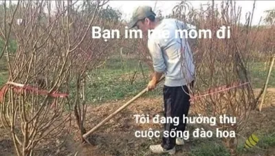 ảnh meme chơi chữ bạn im mẹ mồm đi, tôi đang hưởng thụ cuộc sống đào hoa