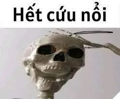 ảnh meme bộ xương hết cứu
