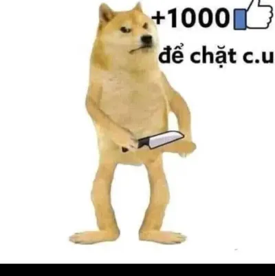 ảnh meme hài Cheems chó Shiba 1000 like chặt cu