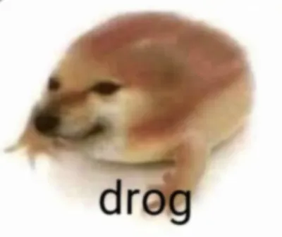 ảnh meme Cheems chó Shiba biến thành ếch