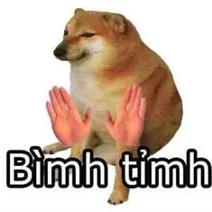 ảnh meme Cheems chó Shiba nói bình tĩnh