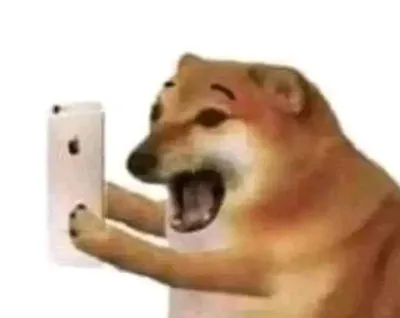 ảnh meme Cheems chó Shiba cầm iPhone vẻ mặt hoảng hốt hài hước