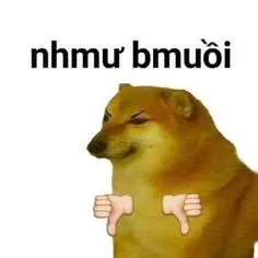 ảnh meme Cheems chó Shiba dislike nói nhmư bmuồi