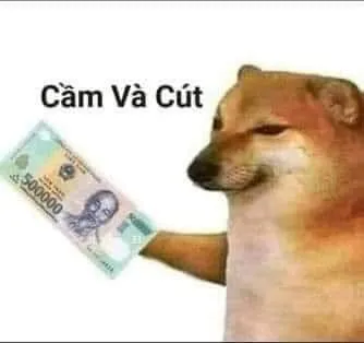 ảnh meme Cheems chó Shiba đưa tờ 500k cầm và cút
