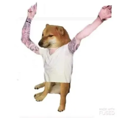 ảnh meme Cheems chó Shiba Khá Bảnh quẩy