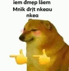 ảnh meme Cheems chó Shiba khen em đẹp lắm
