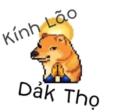 ảnh meme chơi chữ Cheems chó Shiba kính lão dảk thọ