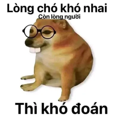 ảnh meme Cheems chó Shiba lòng chó khó nhai còn lòng người khó đoán hài hước