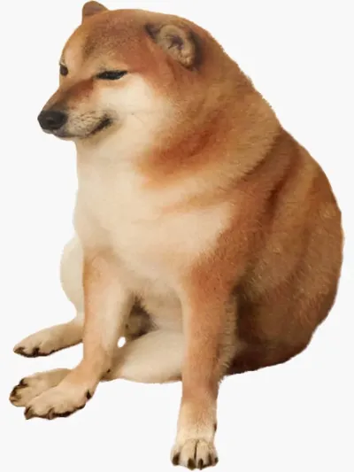 ảnh meme Cheems chó Shiba gốc