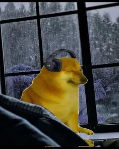 anh meme Cheems chó Shiba ngồi nghe nhạc buồn bên cửa sổ