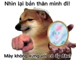 ảnh meme Cheems chó Shiba nhìn lại bản thân mình đi, mày không xứng với cô ấy đâu