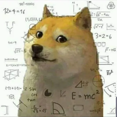 ảnh meme Cheems chó Shiba overthinking