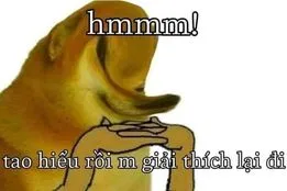 ảnh meme bựa Cheems chó Shiba tao hiểu rồi mày giải thích lại đi