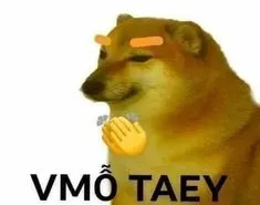 ảnh meme Cheems chó Shiba vỗ tay