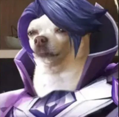 ảnh meme chó cosplay Florentino trong game Liên Quân
