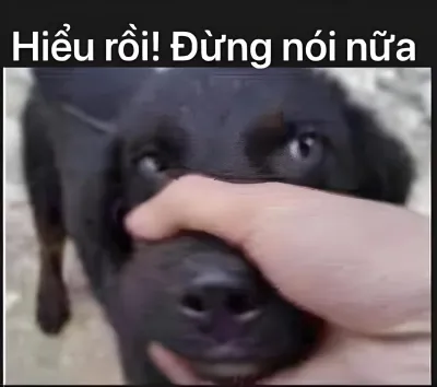 Ảnh meme Chó hiểu rồi! đừng nói nữa