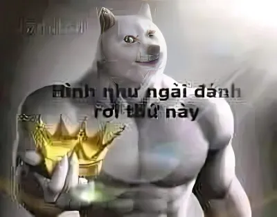 ảnh meme Chó hình như ngài đáng rơi thứ này