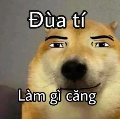 ảnh meme bựa chó Shiba đùa tí làm gì căng