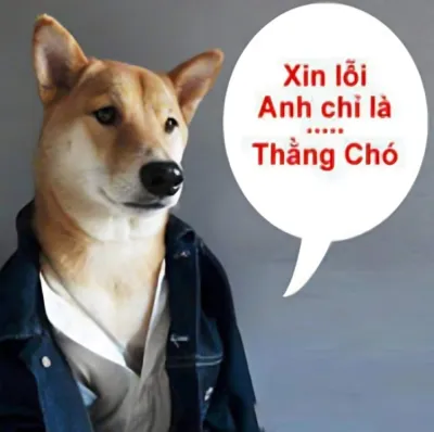 Ảnh meme Chó xin lỗi anh chỉ là thằng chó