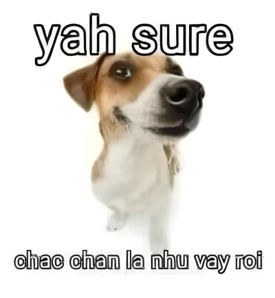 Ảnh meme Chó yah sure chan chan la nhu vay roi