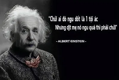 Ảnh meme Chửi ai đó ngu dốt là 1 tội ác nhưng dm nó ngu quá thì phải chửi trích Albert Einstein