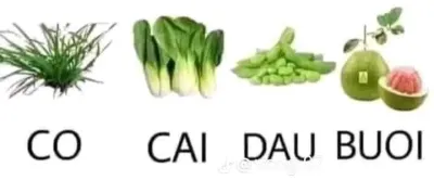 ảnh meme chơi chữ co cai dau buoi