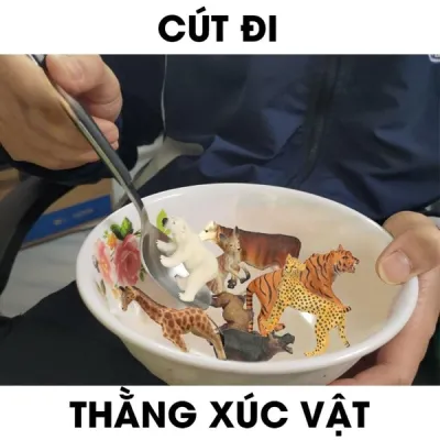 ảnh meme chơi chữ cút đi thằng xúc vật