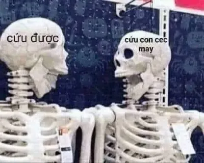 ảnh meme cứu được, cứu con cec mày hài hước