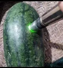 ảnh meme đổ thạch soi đèn quả dưa hấu