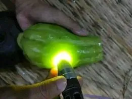 ảnh meme đổ thạch soi đèn quả su su