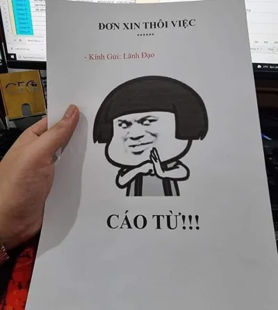 ảnh meme đơn xin thôi việc cáo từ
