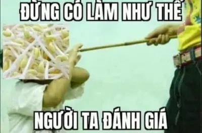 ảnh meme chơi chữ đừng có làm như thế người ta đánh giá