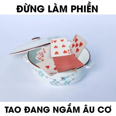 ảnh meme chơi chữ đừng làm phiền, tao đang ngắm âu cơ