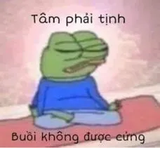 ảnh meme bựa Ếch xanh Pepe ngồi thiền tâm phải tịnh buoi khong duoc cung
